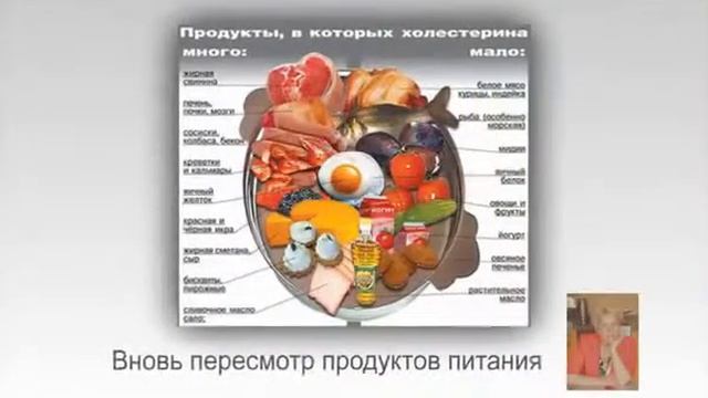 Китайская компания Новая Эра Практика применения продуктов New Era Мой видеоотзыв смотреть онлайн
