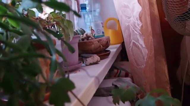 Olympus E-PM1 Test Video#1 смотреть онлайн