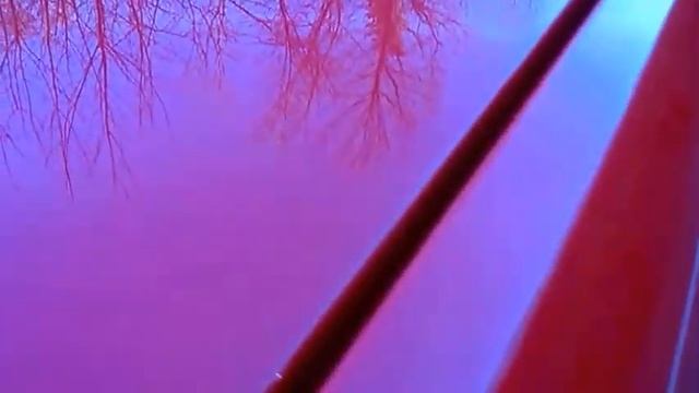 Lancia 2000 Coupé HF смотреть онлайн