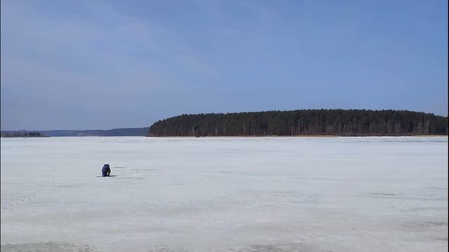 Б Слуцкий  До чего же они наладили быт! #гражданскаялирика #поэзия20века #поэтысоветскогоандеграунда