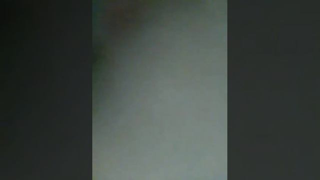 Vector vs. Tiger смотреть онлайн