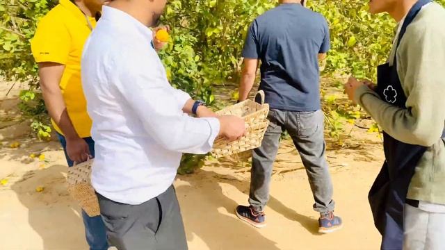 Hijrat Noura Farm Trip - AlUla 🇸🇦 смотреть онлайн