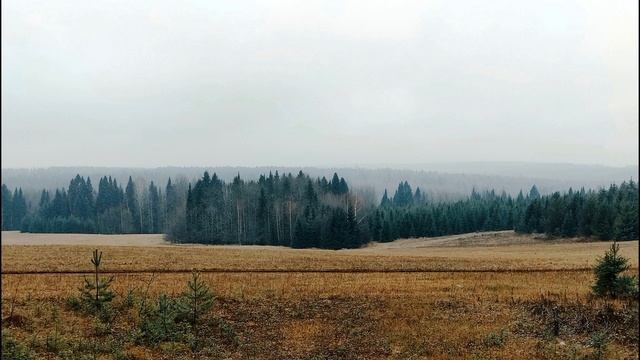 А  Твардовский  5. О войне  Василий Тёркин  #стихиовойне #поэты20века