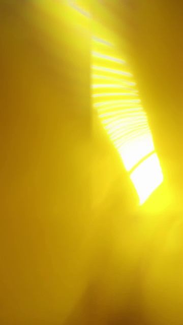 Вместе скатываемся с горки #аквапарк #смешноевидео #экстрим #развлечения #веморт #рекомендации смотреть онлайн