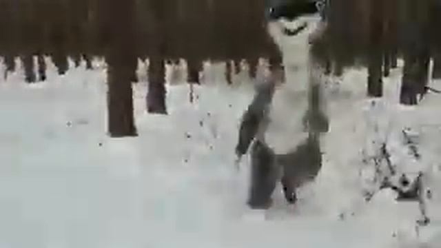 Бродвей Шоу Снежный человек смотреть онлайн