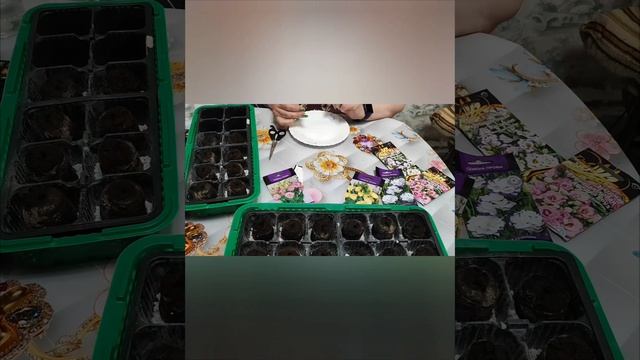 Эустома - посев семян, январь 2025г.