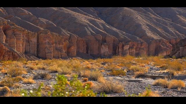 Death Valley 2021 смотреть онлайн