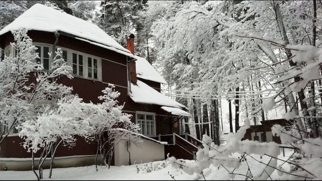 Б  Пастернак  Про эти стихи #стихиопоэзии #стихиопоэте#поэтысеребряноговека