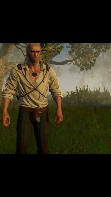 The Witcher 3: Wild Hunt - The Reunion of Geralt and Ciri #shorts смотреть онлайн
