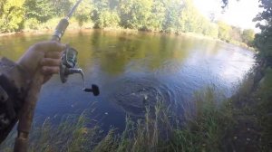 Рыбалка на Севере Сахалина. Таймень