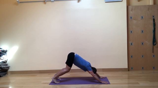 Baxter Bell Yoga: Mini Vinyasa 85: Fig Leaf Forward Fold Sun Salute смотреть онлайн