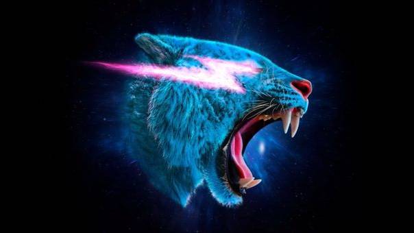 Mr Beast Phonk смотреть онлайн