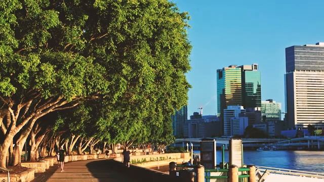 Water Sensitive Cities Conference 2015 - Brisbane (opener) смотреть онлайн