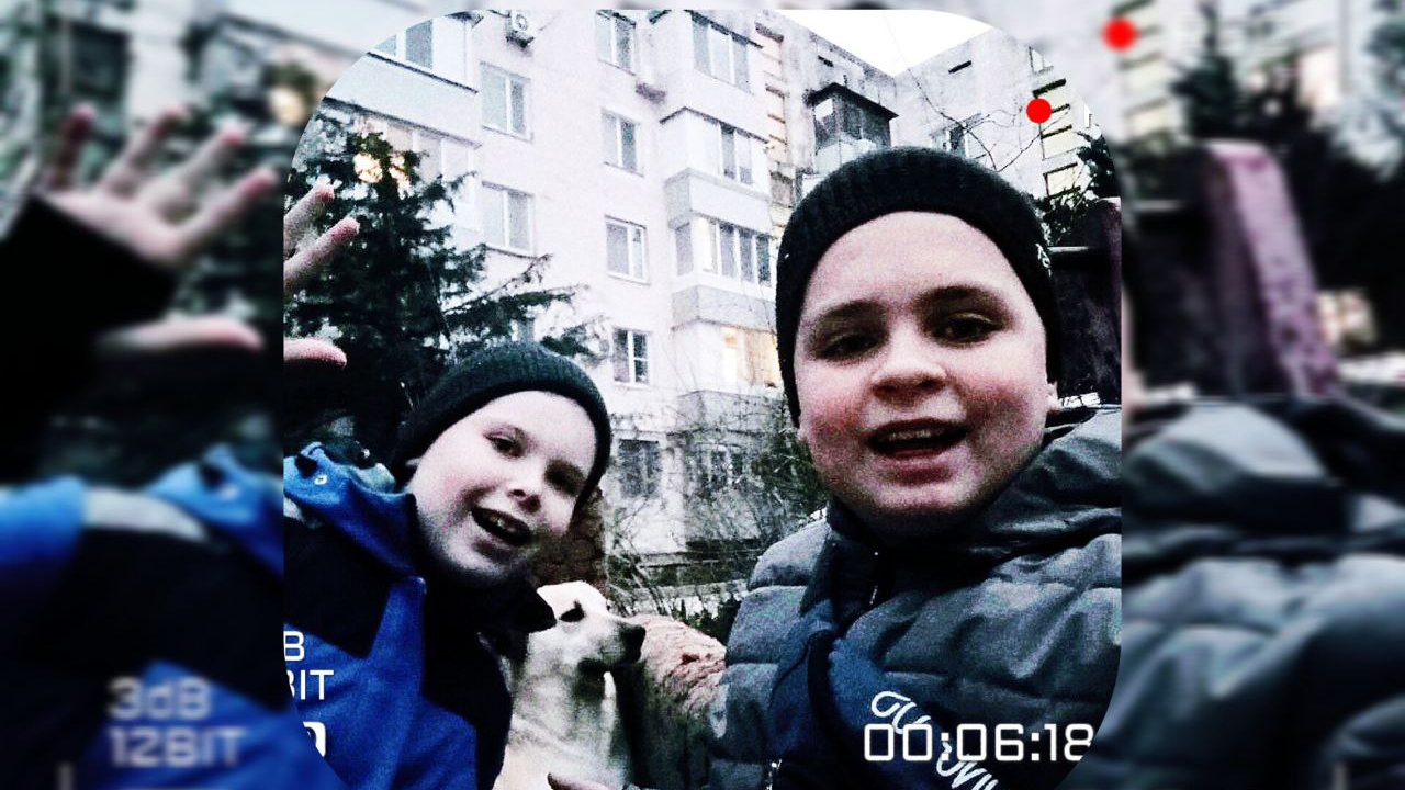 Помогли 20 собакам