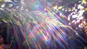 Груз вины. Причины и следствия