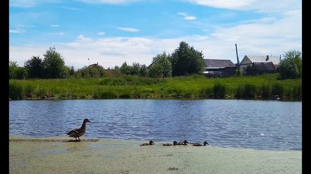 В Маяковский  Что такое хорошо и  что такое плохо  #стихидлядетей  #поэты20века