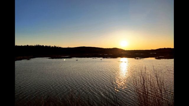 А Ахматова Сердце к сердцу не приковано #стихиолюбви #поэтысеребряноговека смотреть онлайн