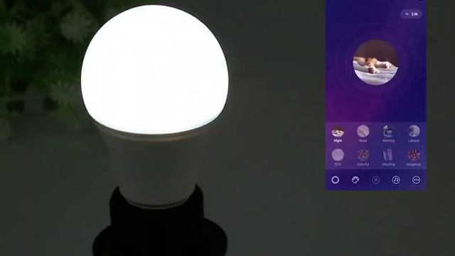 Alice WiFi Smart Bulb E27 15W RGBCW Smart Home #home #love #smartgadgets смотреть онлайн