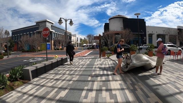 AUSSIEDOODLE / DOG TRAINING смотреть онлайн