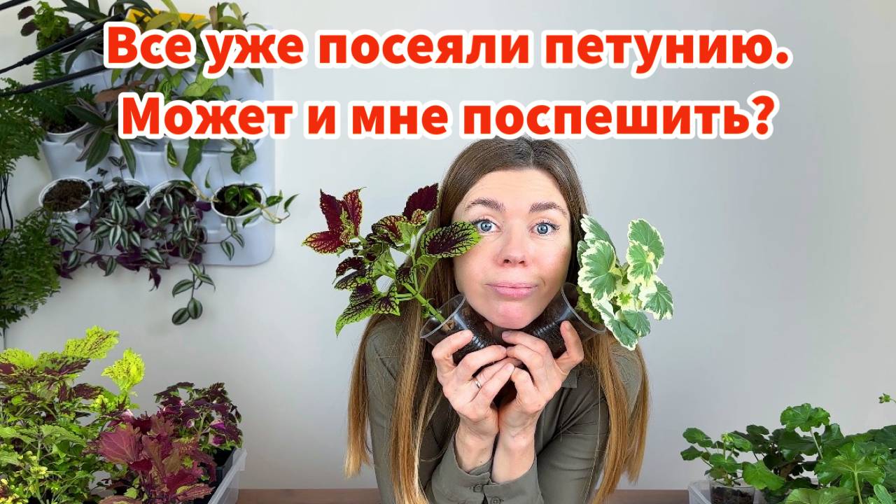Не спешите сеять эти цветы на рассаду. Что нужно для крепкой, быстрорастущей рассады смотреть онлайн
