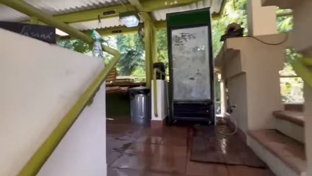 Hoja de Café, Coffee shop en el jardin botanico de rio piedras смотреть онлайн