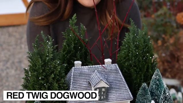 Mini Winter Wonderland Garden Answer смотреть онлайн