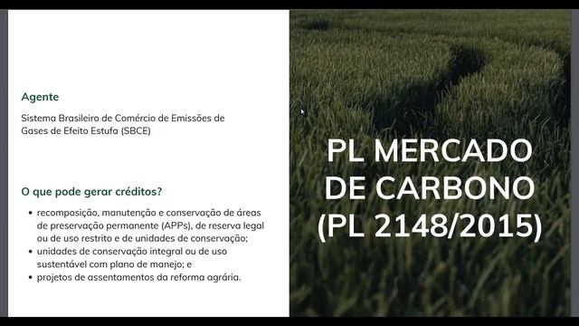 GT ESG WLM - Mercado de Carbono: regulação e perspectivas para o futuro смотреть онлайн