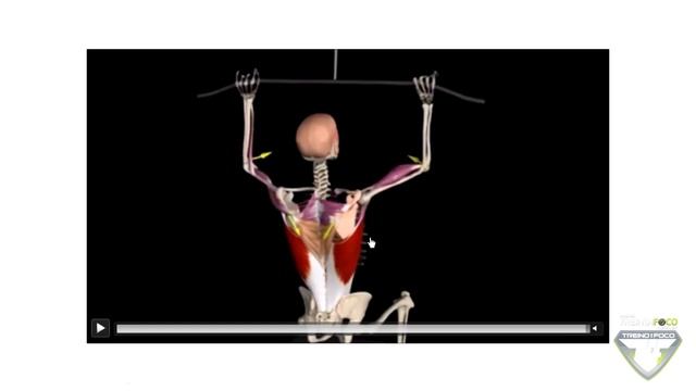 Puxada no Graviton - Confira os benefícios e Como usar - Análise de Exercícios #99 смотреть онлайн