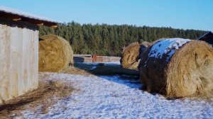 КУПИЛ 2 ДОМА В ДЕРЕВНЕ | НОЧНЫЕ ГОСТИ (ПРОДОЛЖЕНИЕ) | РАСПАКОВКА ТЮКА