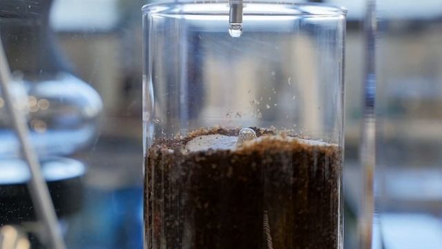 Trucillo Grand Opening