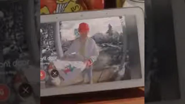 Лучшие кувисы за 11 Января 2019 3 место смотреть онлайн
