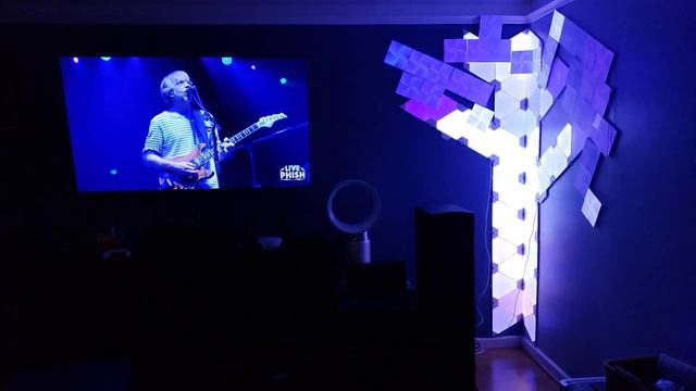 Nanoleaf Nature Display: Phish Concert Webcast Synced Light Show смотреть онлайн