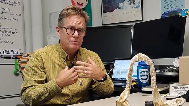20 Questions: Dr. Rich Londraville смотреть онлайн