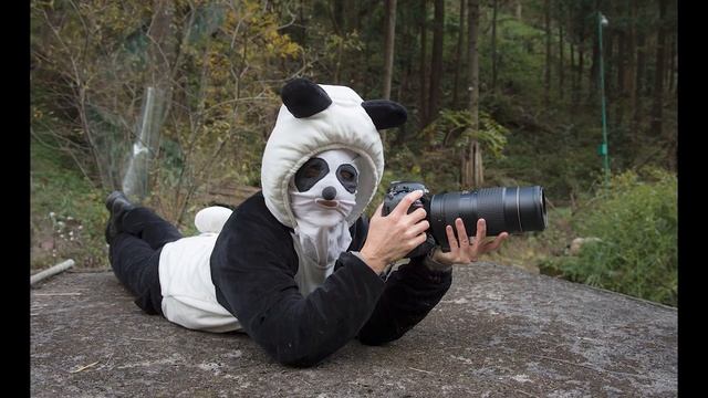 Photographer Ami Vitale on What Cameras and Lenses She Travels With смотреть онлайн