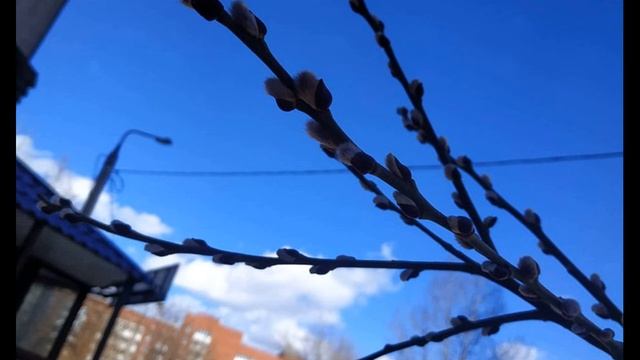 Н Панченко  Я строю, а кто-то ломает #философскаялирика #поэзия20века