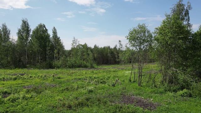 Доможирово. Оять.