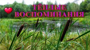 Тёплые воспоминания