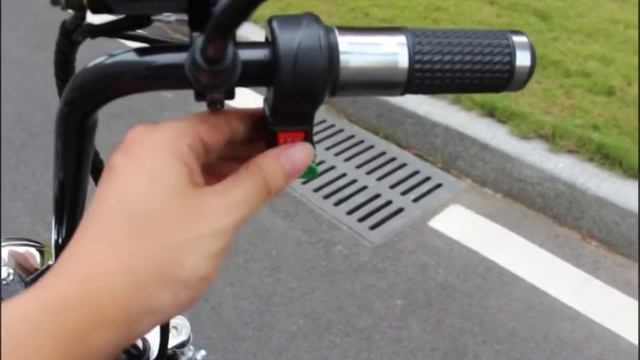 Harley Electric Scooter R804x City Coco Chopper Supplier Rooder