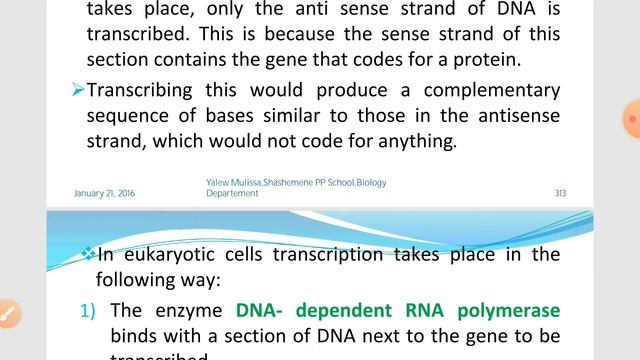 Biology Grade 12 Chapter 3 Protein Synthesis in Afan Oromo смотреть онлайн