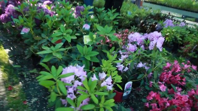 Ваш сад, Одесса. Наше любимое место смотреть онлайн