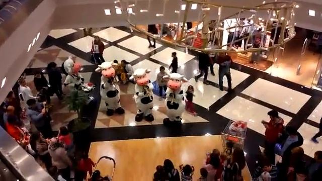 Alışveriş Merkezinde Eğlence Dolu Dakikalar 🎶 смотреть онлайн