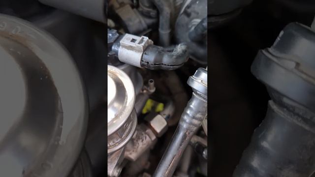 Audi A3 8l 1.6 benzyna wymiana EGR смотреть онлайн