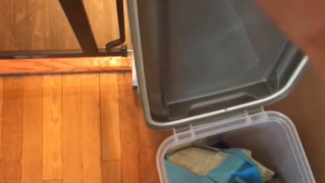 Feeding Our Dog - The Food Guinness Eats In A Day смотреть онлайн