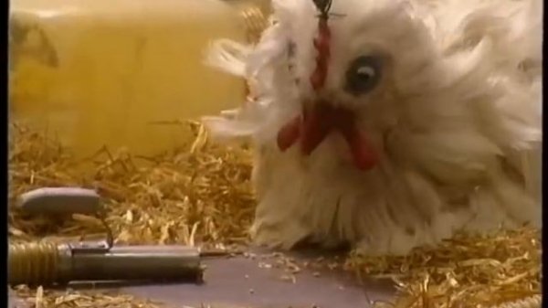 Poppentheater Max Verstappen. Aflevering "Stofzuiger" uit TV serie "Kip"