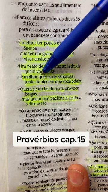 Provérbios CAP.15 #shorts #bliblia #jesus #deus смотреть онлайн