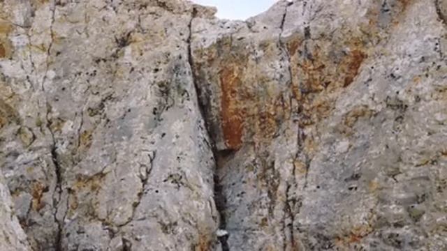 Elvers Vs Tog' Echkisi