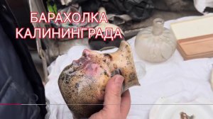 НАХОДКИ НАЙДЕННЫЕ КОПАТЕЛЯМИ В ОКРЕСТНОСТЯХ КАЛИНИНГРАДА. ЧТО НАШЛИ НА БЛОШИНОМ РЫНКЕ.