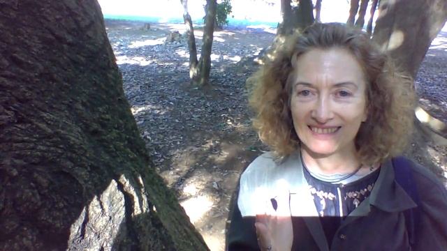 Topic: Freetime! English Conversation Excellence Training with Katie Adler смотреть онлайн