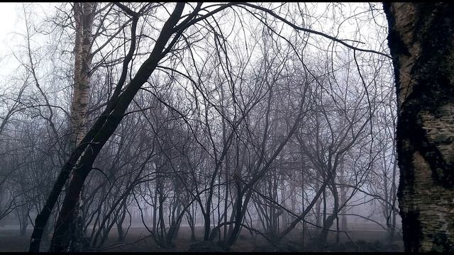 Р Рождественский  Концерт #стихиовойне  #поэты20века