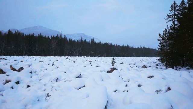 Е Евтушенко  Не в первый раз и не в последний раз #стихиовострадании  #поэты20века